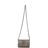 Chanel Wallet On Chain WOC Silver and Brown Aged Python Antique Silver Hardware - Thumbnail View 7