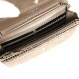 Chanel Wallet On Chain WOC Silver and Brown Aged Python Antique Silver Hardware - Thumbnail View 9
