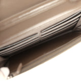 Chanel Wallet On Chain WOC Silver and Brown Aged Python Antique Silver Hardware - Thumbnail View 11