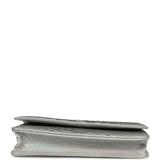 Chanel Wallet On Chain WOC Silver Iridescent Python Ruthenium Hardware - Thumbnail View 6