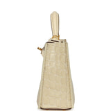 Bag Bestie x LeBag Paris Glossy Vanilla Cover - Thumbnail View 6