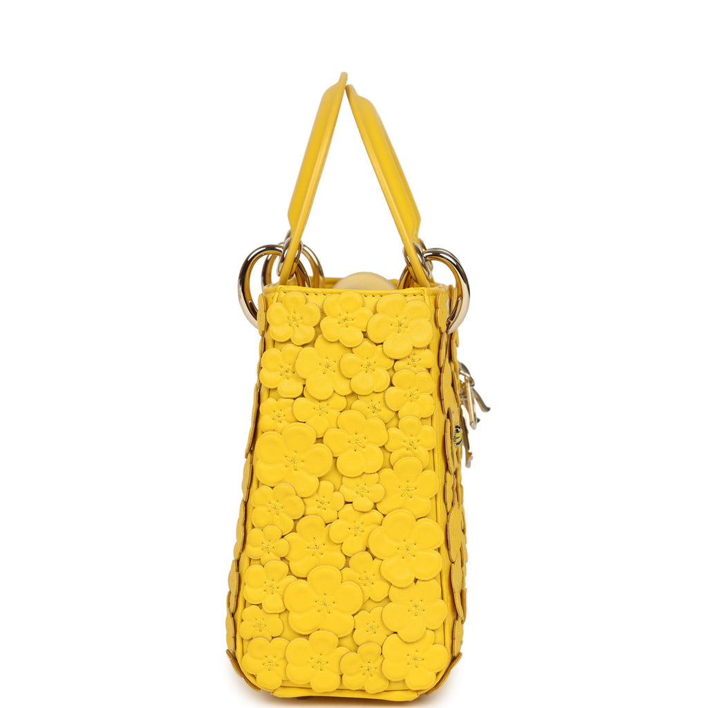 23-24 DEICE BANK YELLOW LGR/BL 新品未使用 Christian Dior Mini Lady Dior Bag 