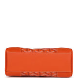 Goyard Saigon Souple Mini Orange Goyardine Palladium Hardware