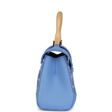 Goyard Goyardine Canvas Iris Soft Saigon Mini Palladium Hardware