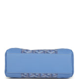 Goyard Goyardine Canvas Iris Soft Saigon Mini Palladium Hardware