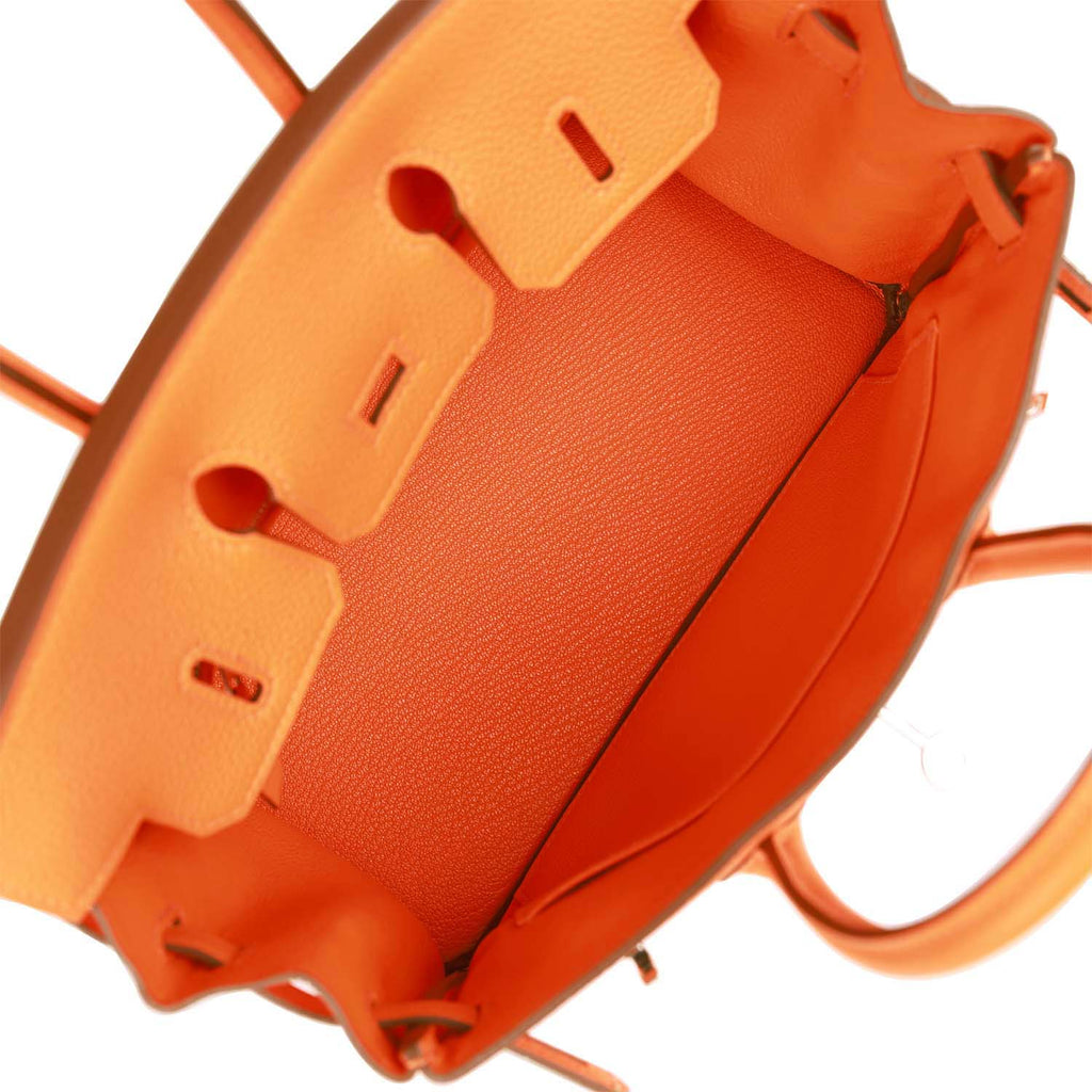 Hermes Birkin 30 Orange Minium Togo Palladium Hardware in 2023