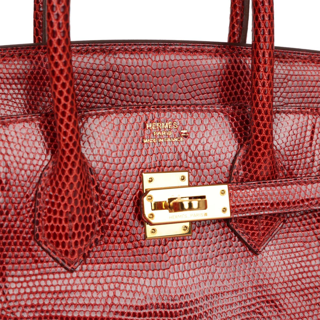 Hermes Birkin 25 In Red: Lizard Handbag