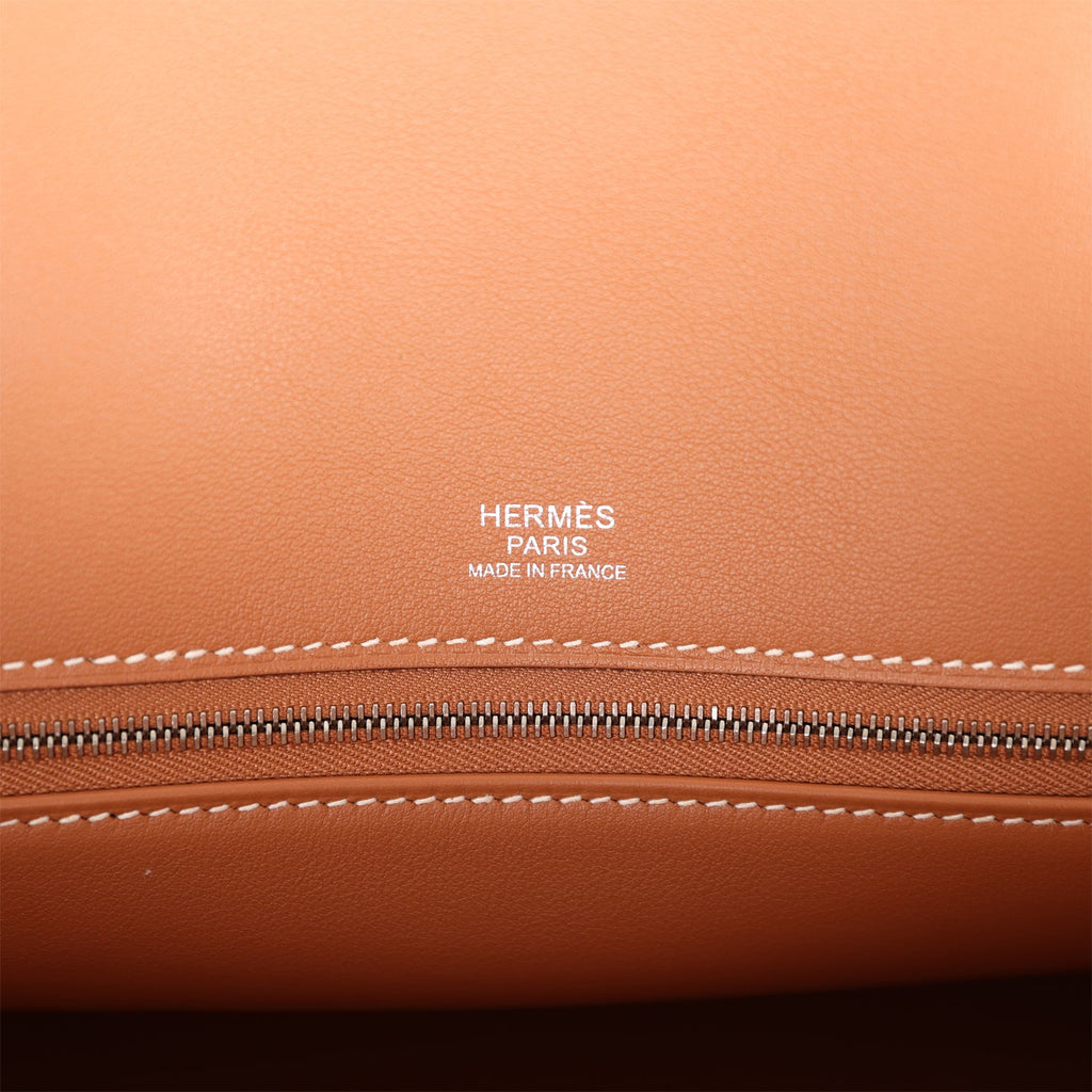 Rare Hermes Birkin 25 Terre Battue Orange Togo Leather Bag