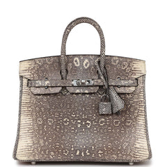 Hermes Birkin 25 Ombre Varanus Salvator Lizard Palladium Hardware