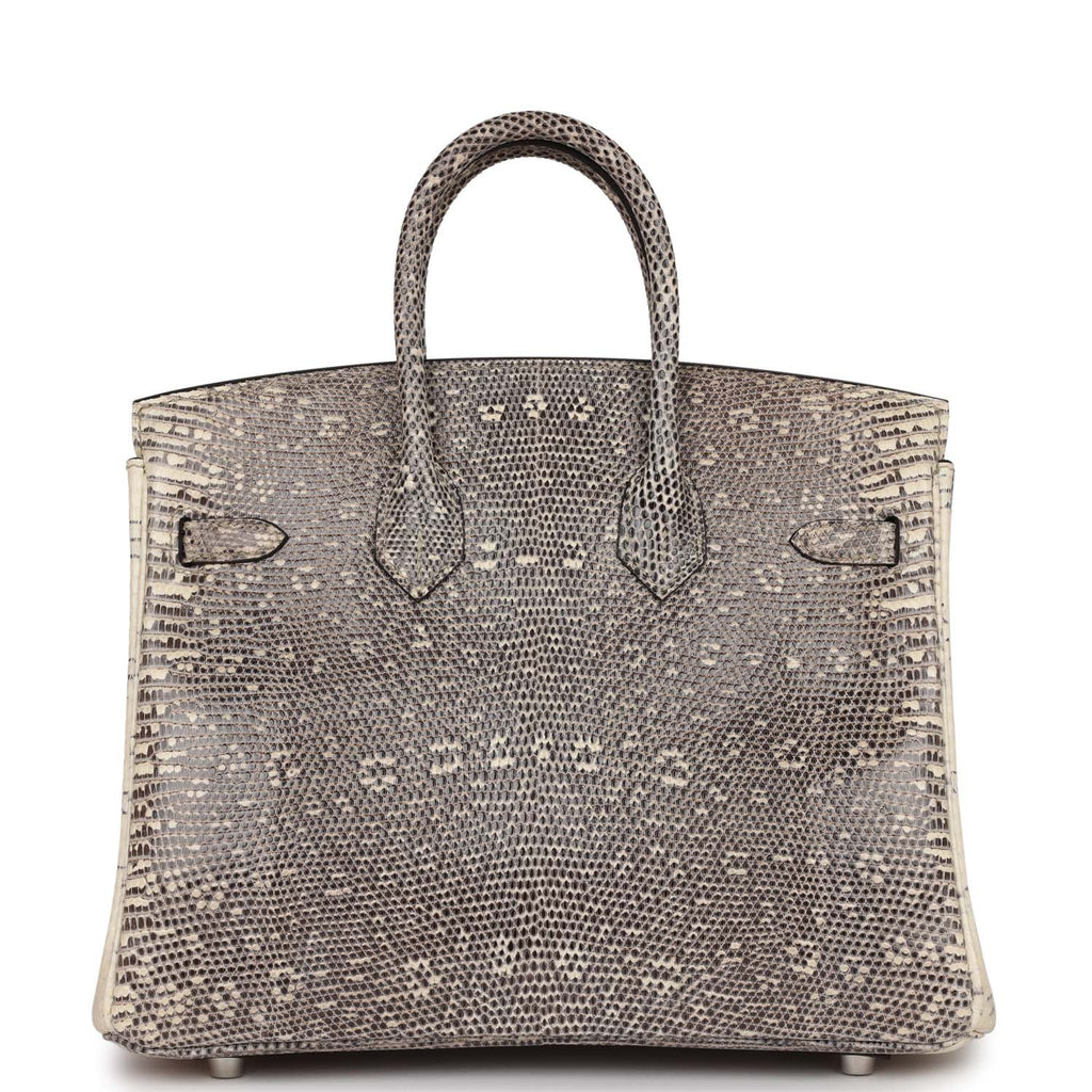 Hermes Birkin 25 Handbag Ombre Lizard SHW