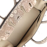Hermès Ombre Birkin 25cm of Varanus Salvator Lizard with Palladium Hardware, Handbags & Accessories Online, Ecommerce Retail