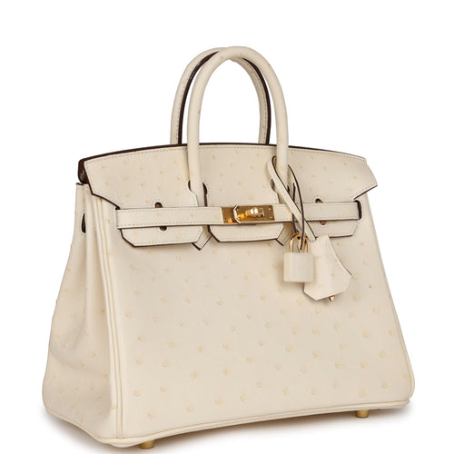 Hermès birkin touch 25cm  Bags, Luxury purses, Pretty bags