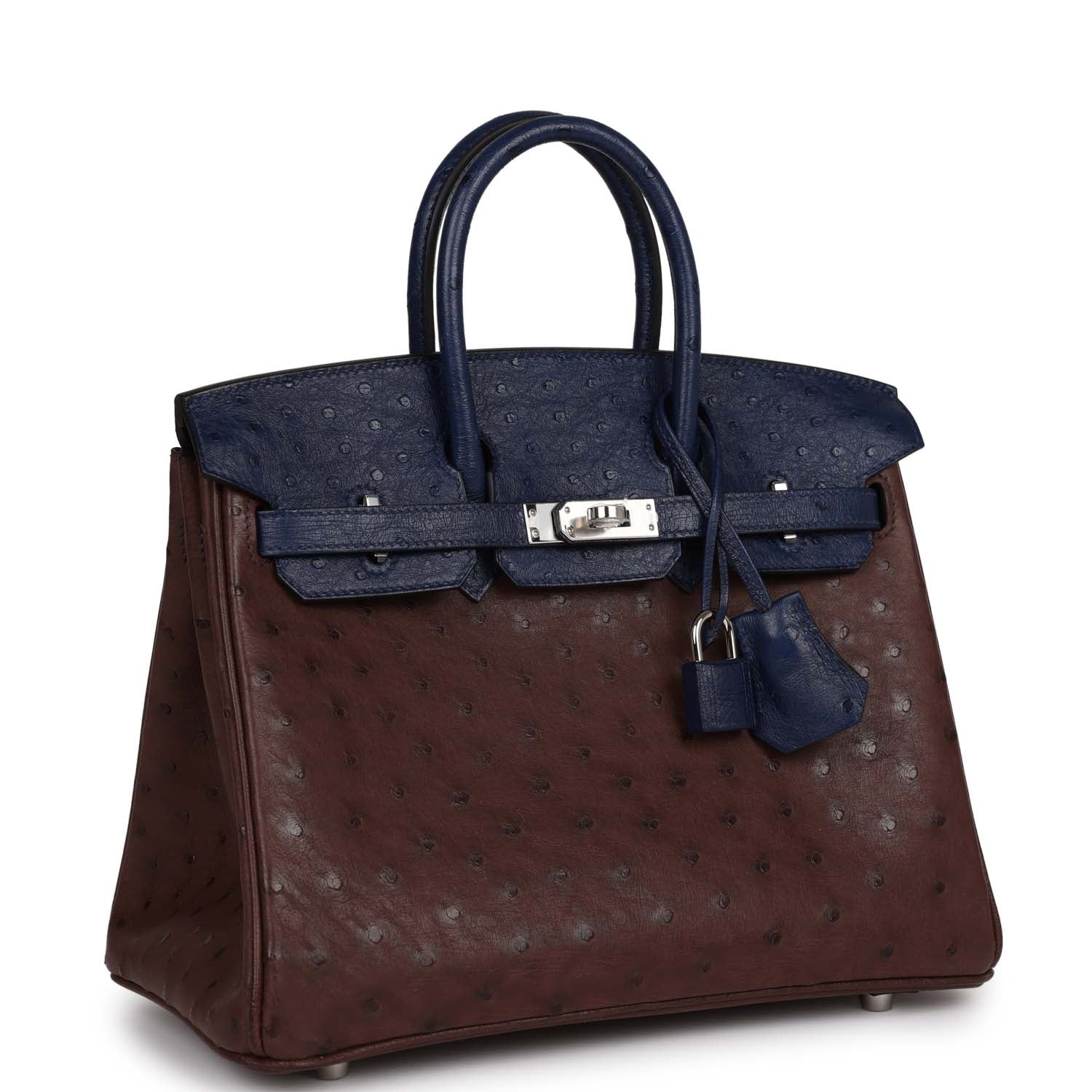 Hermes Bi-Color Birkin 25 Rouge Sellier and Bleu Saphir Ostrich Pallad