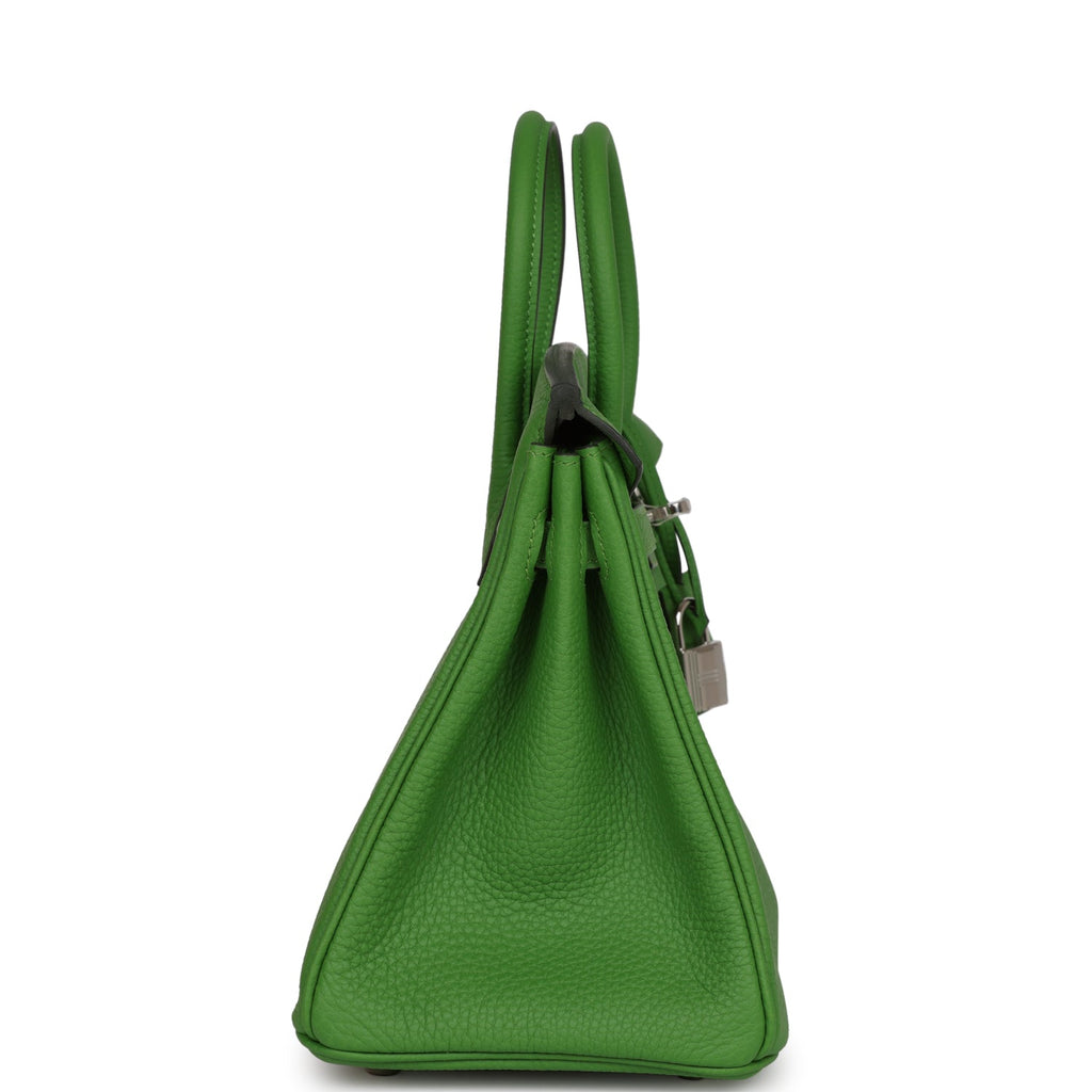 Hermes Birkin 25 Vert Yucca Togo Palladium Hardware – Madison Avenue Couture
