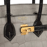 Hermes Special Order (HSS) Birkin 25 Gris Perle and Black Matte Alligator Mississippienis Brushed Gold Hardware