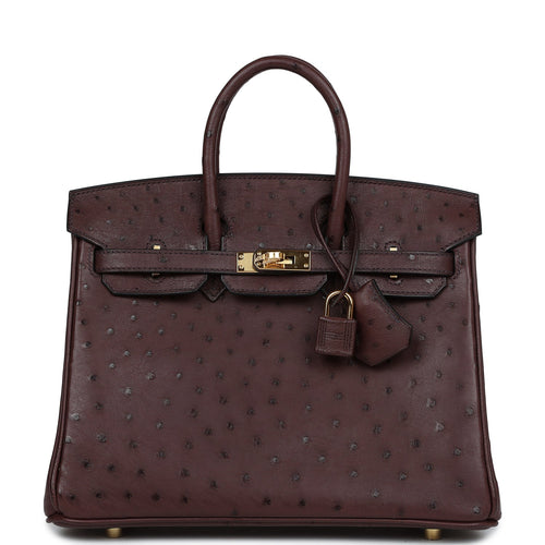 Hermes Birkin 25 Rouge Sellier Ostrich Gold Hardware