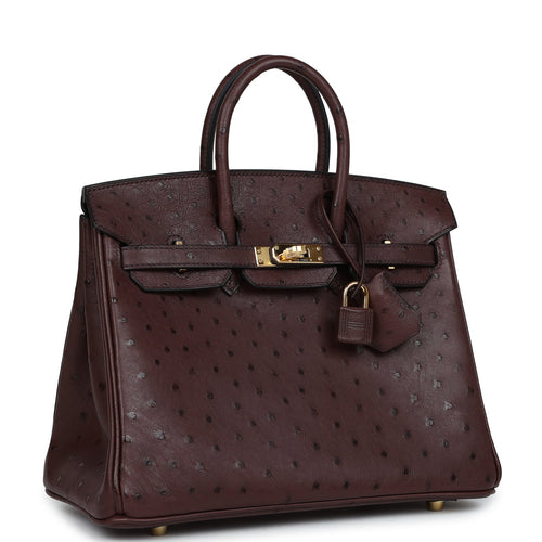Hermes Birkin 25 Rouge Sellier Ostrich Gold Hardware