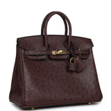 Hermes Birkin 25 Rouge Sellier Ostrich Gold Hardware