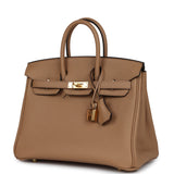 Hermes Birkin 25 Chai Togo Gold Hardware