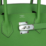 Hermes Birkin 30 Vert Yucca Togo Palladium Hardware