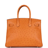 Hermes Birkin 30 Abricot Ostrich Palladium Hardware