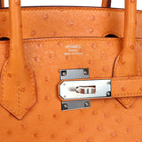 Hermes Birkin 30 Abricot Ostrich Palladium Hardware