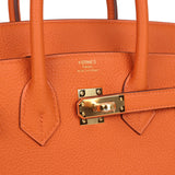 Hermes Birkin 25 Orange Togo Gold Hardware