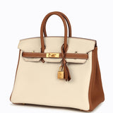 Hermes Special Order (HSS) Birkin 25 Craie and Gold Togo Brushed Gold Hardware