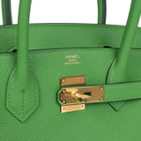 Hermes Birkin 30 Vert Yucca Togo Gold Hardware