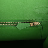 Hermes Birkin 30 Vert Yucca Togo Gold Hardware