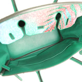 Custom "Paradise" Swarovski Crystal Hermes Birkin 30 Vert Vertigo Togo Palladium Hardware
