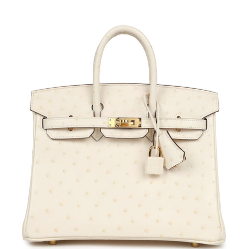 Hermes Birkin 25 Nata Ostrich Gold Hardware