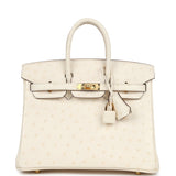 Hermes Birkin 25 Nata Ostrich Gold Hardware