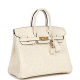 Hermes Birkin 25 Nata Ostrich Gold Hardware