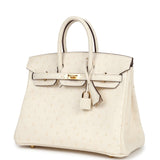 Hermes Birkin 25 Nata Ostrich Gold Hardware