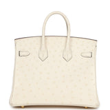 Hermes Birkin 25 Nata Ostrich Gold Hardware