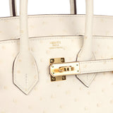 Hermes Birkin 25 Nata Ostrich Gold Hardware