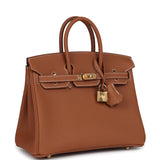 Hermes Birkin 25 Gold Togo Gold Hardware