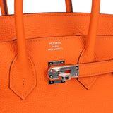 Hermes Birkin 25 Orange Minium Togo Palladium Hardware