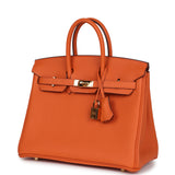 Pre-owned Hermes Birkin 25 Orange Togo Gold Hardware