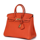 Pre-owned Hermes Birkin 25 Feu Togo Gold Hardware