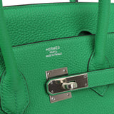 Hermes Birkin 35 Bambou Togo Palladium Hardware