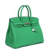 Hermes Birkin 35 Bambou Togo Palladium Hardware