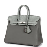 Hermes Birkin 25 Gris Meyer Togo and Gris Ciment Matte Alligator Touch Palladium Hardware