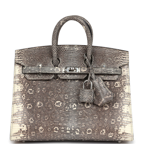 Hermes Birkin Sellier 20 Ombre Varanus Salvator Lizard Palladium Hardware