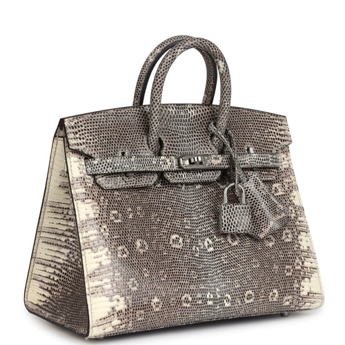 Hermes Birkin Sellier 20 Ombre Varanus Salvator Lizard Palladium Hardware