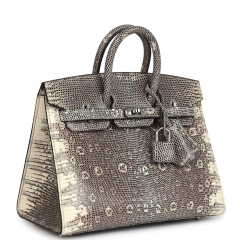 Hermes Birkin Sellier 20 Ombre Varanus Salvator Lizard Palladium Hardware