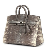 Hermes Birkin Sellier 20 Ombre Varanus Salvator Lizard Palladium Hardware