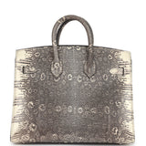 Hermes Birkin Sellier 20 Ombre Varanus Salvator Lizard Palladium Hardware