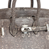 Hermes Birkin Sellier 20 Ombre Varanus Salvator Lizard Palladium Hardware